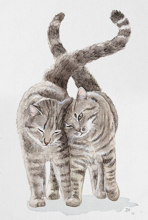 Geschenke für Katzenfreunde